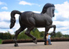 American Horse at Frederik Meijer Gardens & Sculpture Park