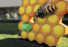 Google Honeycomb