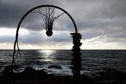 Sculpture by the Sea Bondi 2010