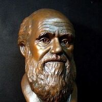 Charles Darwin by Robert Toth - search and link Sculpture with SculptSite.com