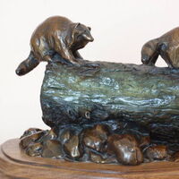 Coon Tag by Dawn Weimer - search and link Sculpture with SculptSite.com