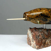 Th Narwhal by Jason Nelson - search and link Sculpture with SculptSite.com