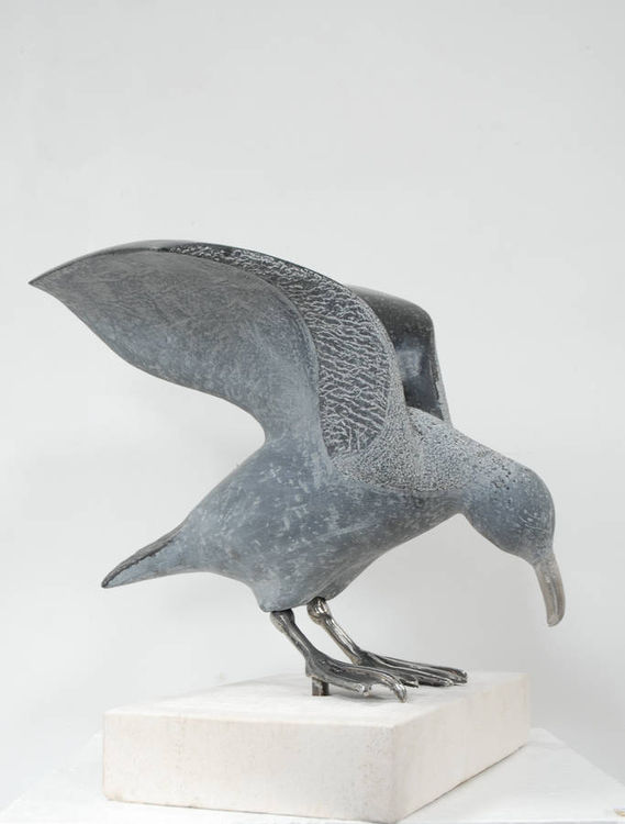Sea Gull by Blessing Sanyanga - search and link Sculpture with SculptSite.com