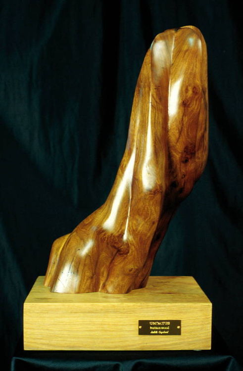 Undatus by Judith Copeland - search and link Sculpture with SculptSite.com