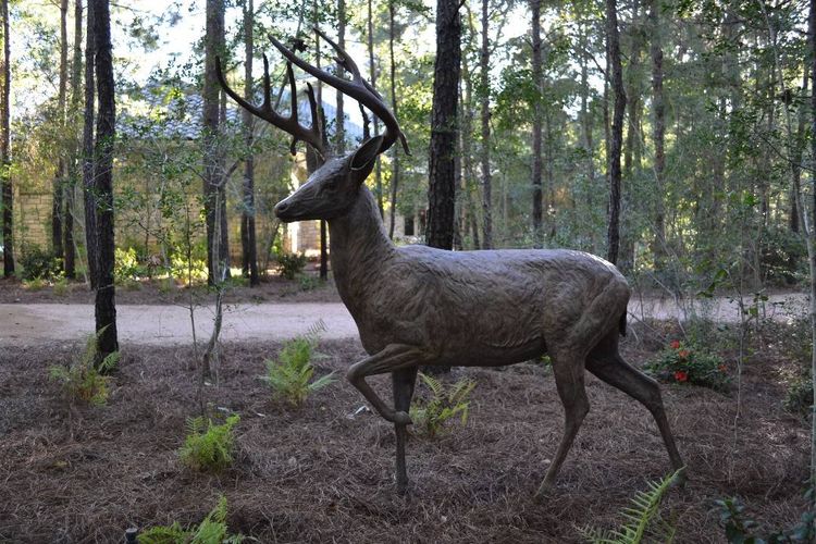 Wildlife Monuments - Magnolia Whitetails by Edd Hayes - search and link Sculpture with SculptSite.com