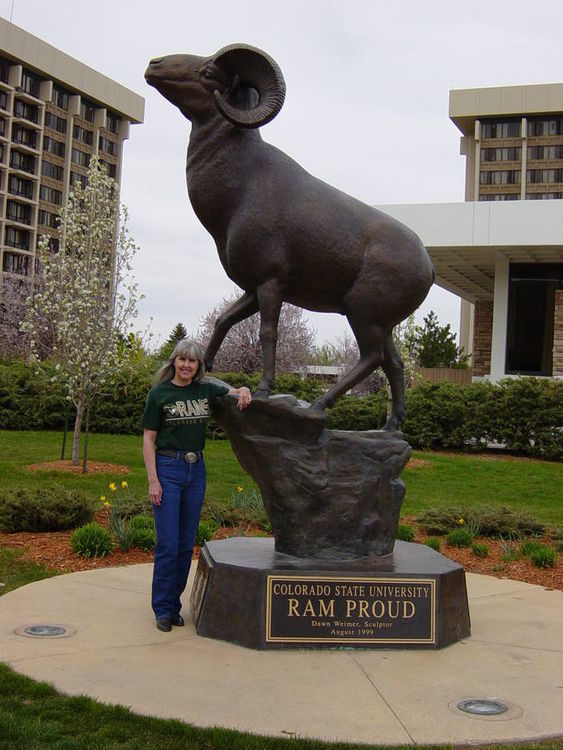 Ram Proud by Dawn Weimer - search and link Sculpture with SculptSite.com
