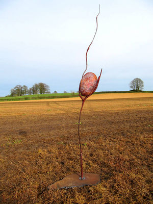 Nestling Cocoon by Fiona Campbell - search and link Sculpture with SculptSite.com