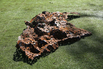 Conglomerate by Hila Laiser Beja - search and link Sculpture with SculptSite.com