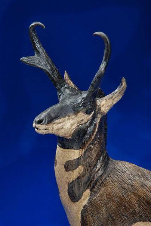Pronghorn by James Marsico - search and link Sculpture with SculptSite.com